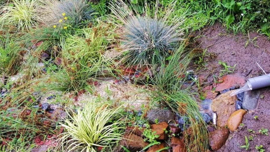 Kišni vrt smanjuje mogućnost poplave i zagađenja