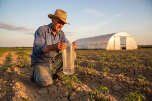 Kišomer pouzdan za poljoprivrednike Obrenovca, ali ovde godine nedovoljno kiše?