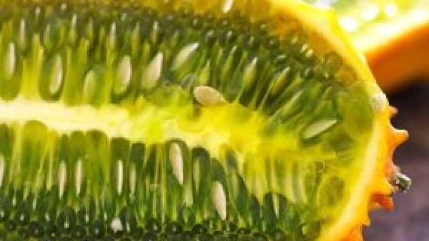 Egzotična poljoprivreda u Slavoniji - OPG Lošćak