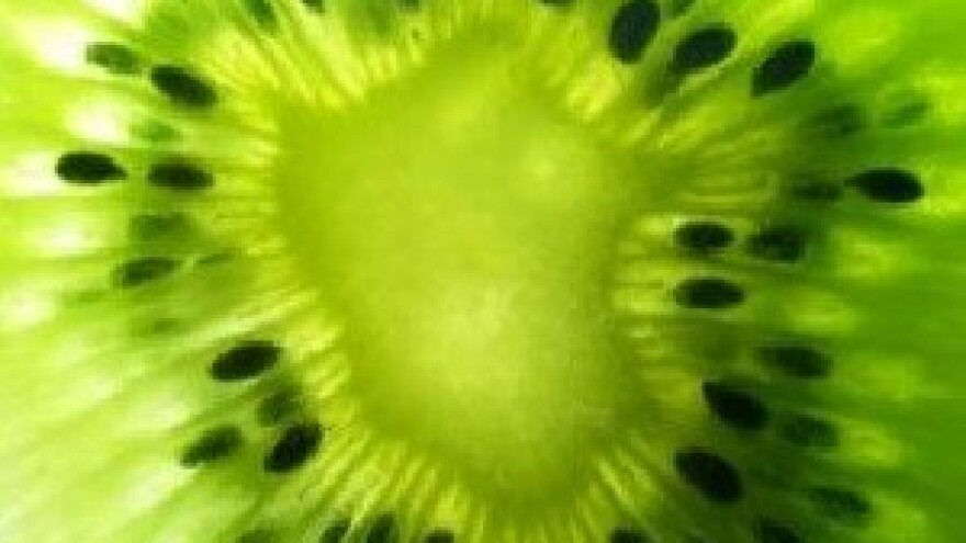 Održan Forum za prehrambeni suverenitet