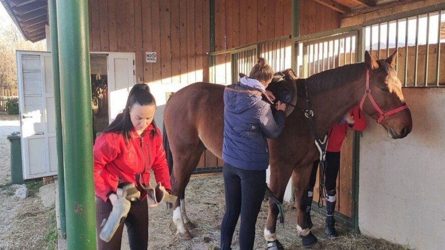 Kada vam djed nudi Mercedes, a vi želite konja. I ne jednog, već cijelu ergelu