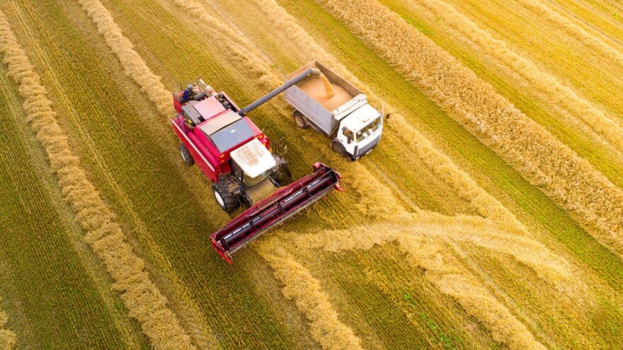 Što bi moglo potaknuti rast cijena žitarica u ovoj godini?