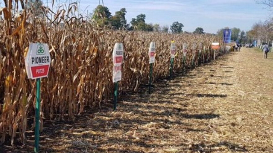 Boris Pašalić: Prije sjetve tražite informacije od stručnjaka