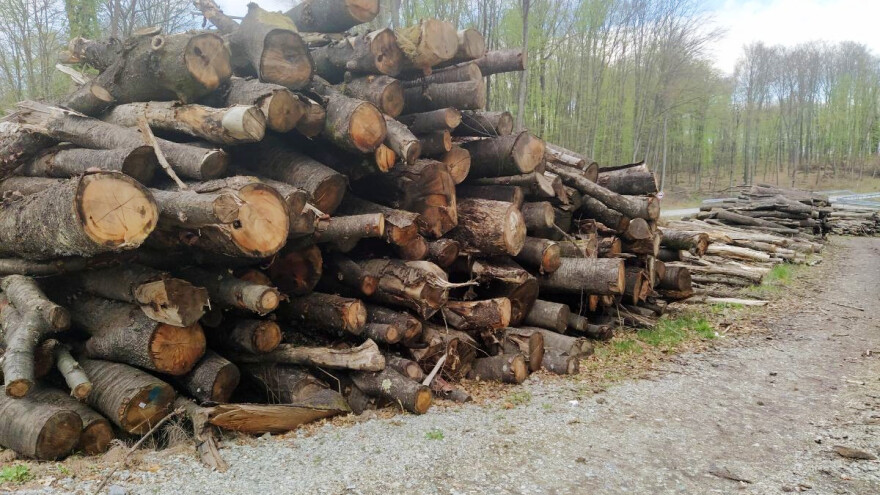 Što donosi Nacionalni plan razvoja prerade drva i proizvodnje namještaja do 2030. godine?