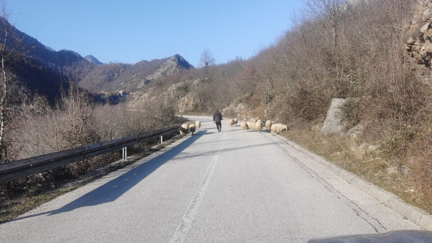 Klanci koji su život značili: Čuvam ovce da ih vuci ne zateku, da ne zastrane, da ne uteknu