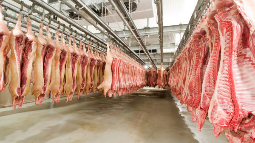 Otkriven objekat za nelegalno klanje životinja