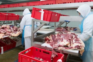 Radnici u klaonicama najteže pogođeni koronavirusom? Rade i bolesni