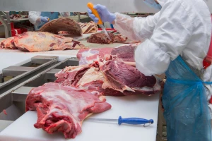 Turska ulaže u klaonicu u Kalesiji, uključit će 1.000 porodica