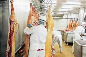 Zaplijenjeno 1.450 kg ilegalnog mesa u RH