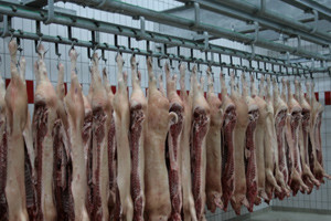 Hrvatskoj za vlastite potrebe nedostaje proizvodnja milijun tovljenika