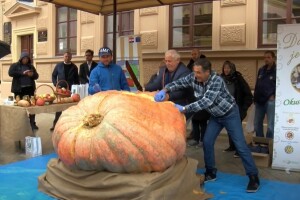 Bundeva teška 674 kg i tikva duga skoro tri metra na prvoj kampanji "Domaće je naše"