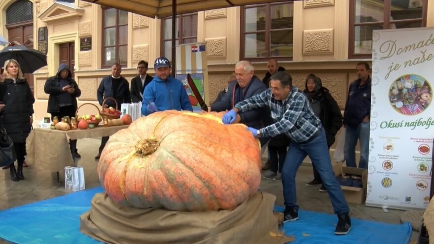 Bundeva teška 674 kg i tikva duga skoro tri metra na prvoj kampanji "Domaće je naše"