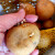 Čuvanje krompira i sprečvanje klijanja krtola