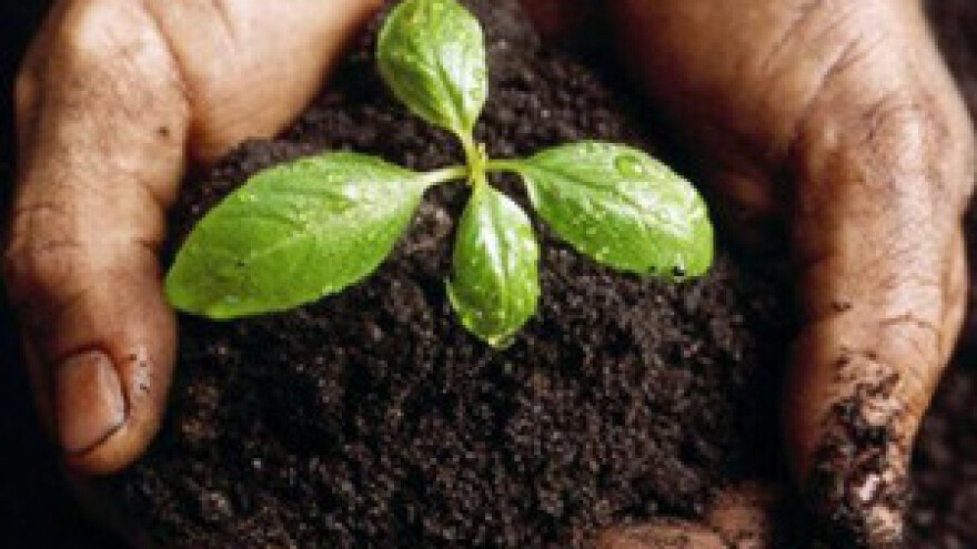 55. Seminar biljne zaštite