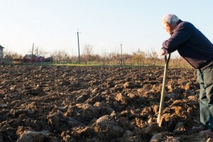 50 godina Dana planete Zemlje - klimatske promjene u fokusu 2020. godine