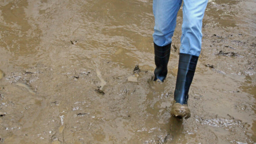 Kako se Hrvatska prilagođava klimatskim promenama?