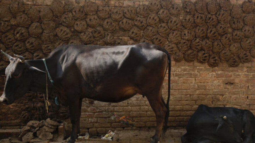 &quot;Stub srama&quot; za one koji ne ispune obaveze