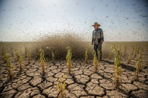 Klimatske promene smanjuju efektivnost pesticida
