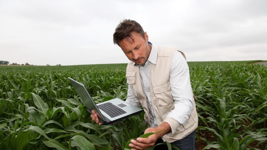 Promjena klime smanjit će prinose do 25 posto?