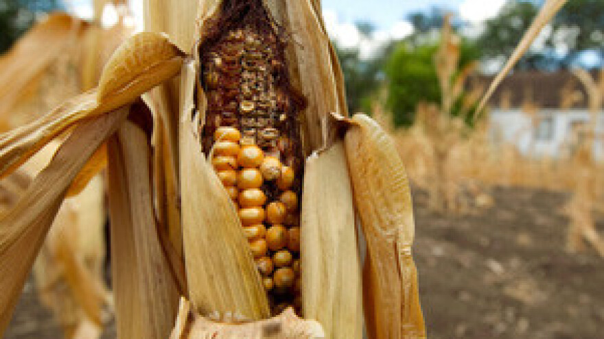 Suše, poplave, tuče odnose nam milijarde kuna
