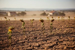 Klimatske promjene i poljoprivreda