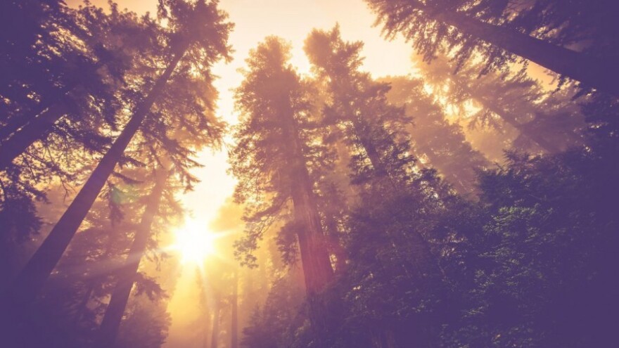 Klima se mijenja, dokazuju to suše i poplave