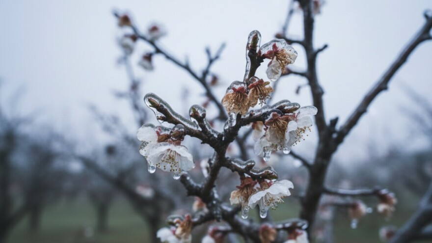 Klimatske promjene nisu naklonjene poljoprivredi