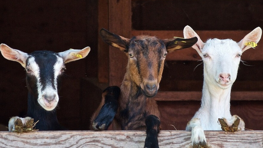 Biznis klinika za 20 poljoprivrednih subjekata