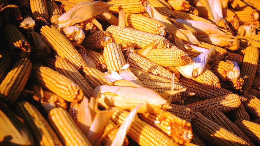 Slabije trgovanje i pad cena žitarica