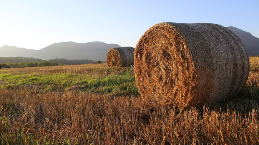 Poljoprivrednici FBiH: Imate rok do prve sjednice, inače...