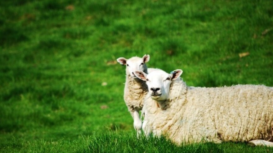 Odbor za poljoprivredu protiv kloniranja!