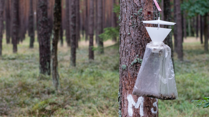 Tip operacije 10.1.12 Korištenje feromonskih, vizualnih i hranidbenih klopki