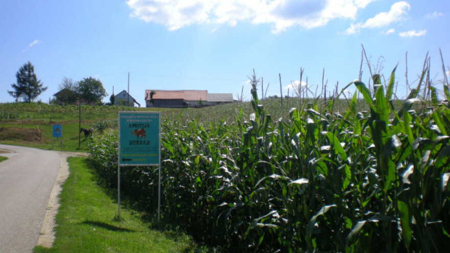 Mladi su budućnost agrara