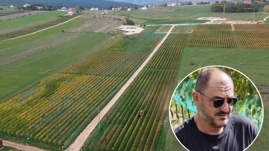 Vrhunska kvaliteta grožđa u vinogradu smještenom na najvišu proziciju za uzgoj loze