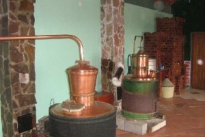 Radovi odgodili otvorenje prve banke rakije