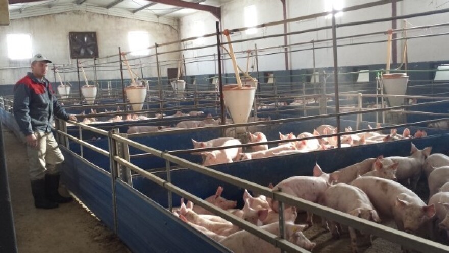 Poljoprivrednikom se ne postaje - već rađa