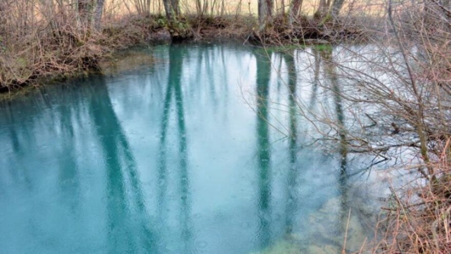 Šume knezova krčkih i dalje sjaje punim sjajem