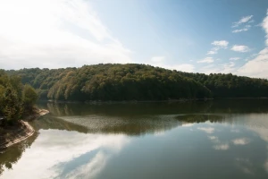 Na dno jezera Barje spušten kavez sa pet gnezda oplođenog smuđa