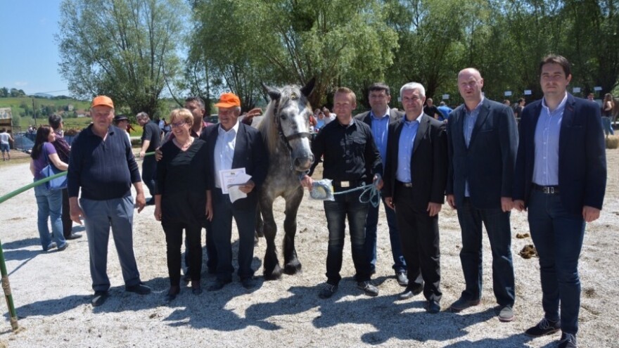 Omica Silva i krava Mici najljepše na izložbi!