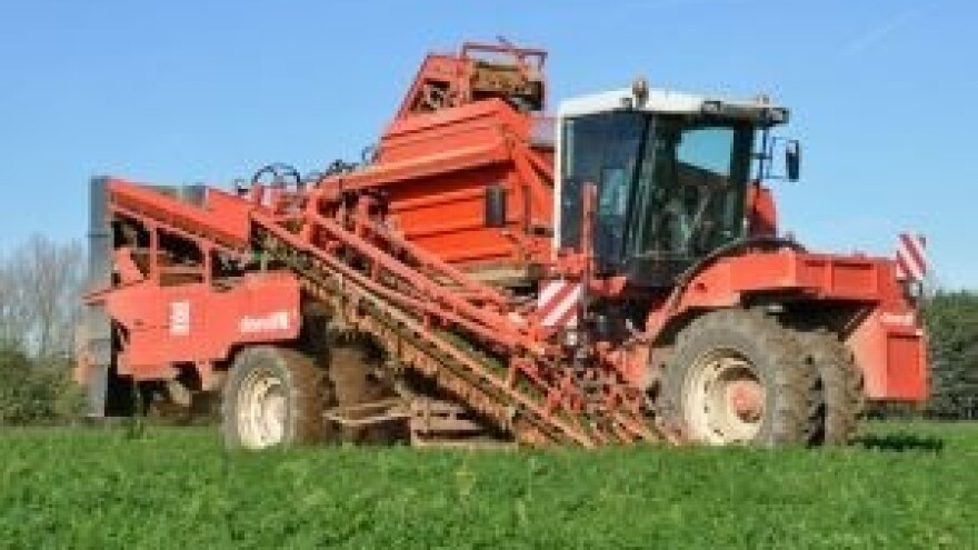 Kombajni za branje mrkve