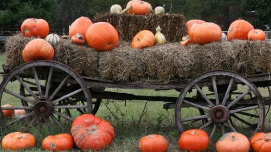 Razvoj seoskog turizma