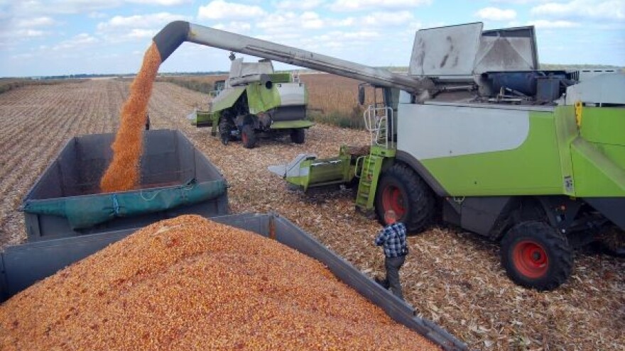 Kodeks otkupa žitarica stvorio probleme!