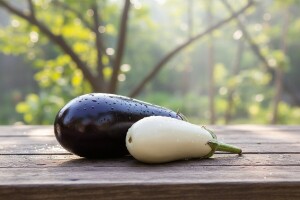 Koja je razlika između bijelog i ljubičastog patlidžana?