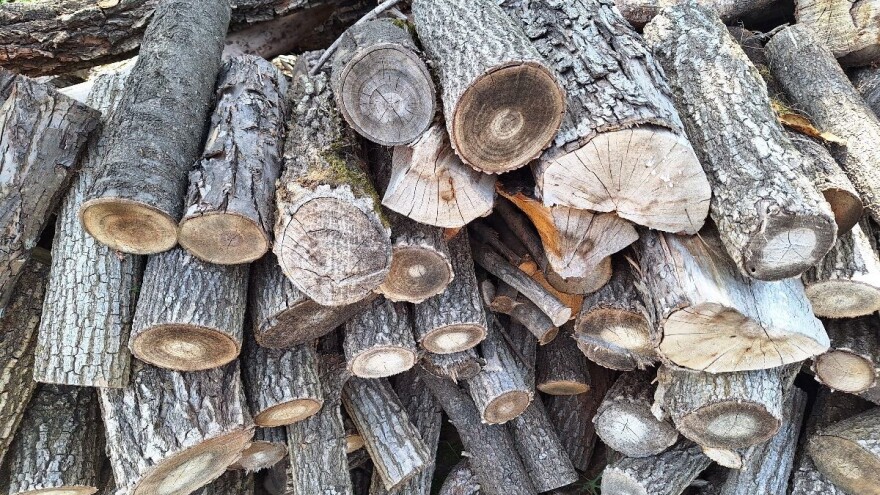 Zima "steže", a ogrev se prodaje na džakove?