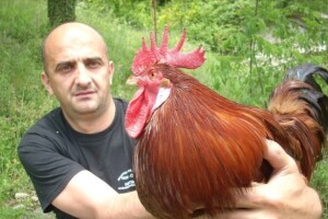Peradari uspjeli promijeniti strogi zakon!