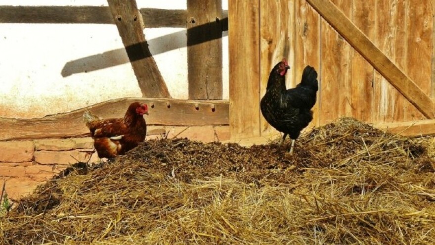 Ažurirajte podatke o gazdinstvu do 15. maja