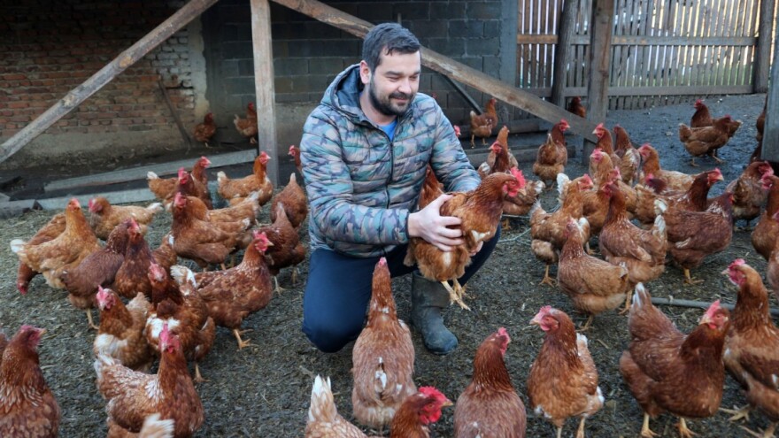 Najmlađi farmer Srebrenice: Zatvorio farmu krava i kupio koke nosilje