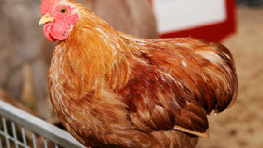 Isplaćeno 2,15 milijuna kuna za još 2 završena IPARD projekta