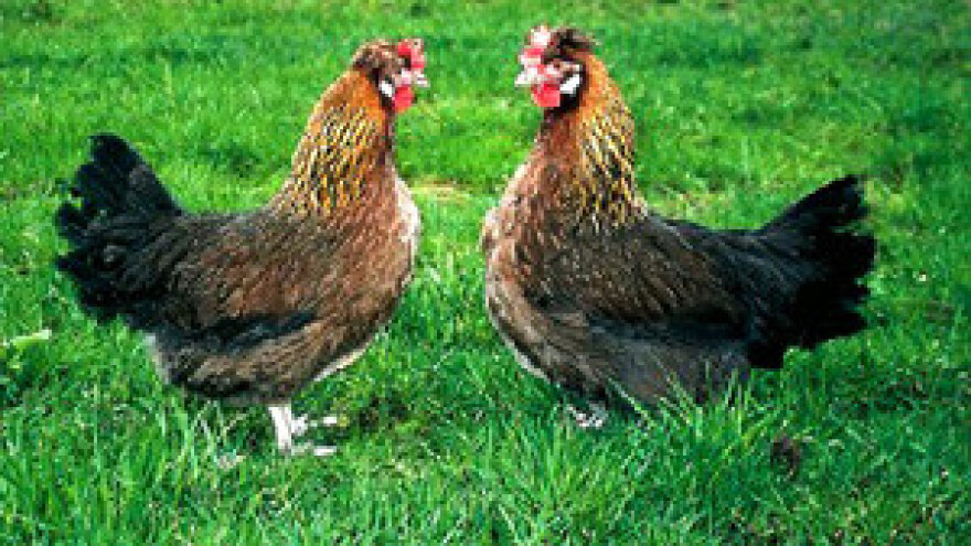 Poboljšanje situacije u Poljopreradi d.d.