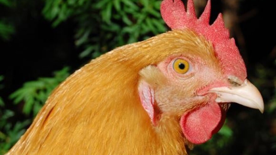 Josipović primio radnike Poljoprerade